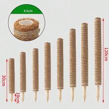 4 Peças Varas de Musgo, Adequadas para Plantas Trepadeiras - Varas de Apoio de Lã Natural, Marrom Claro, Ótimas para Videiras em Vasos Internos e Cuidados de Jardim