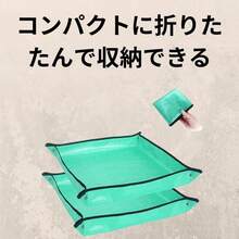 Tarps - Initial - View 7