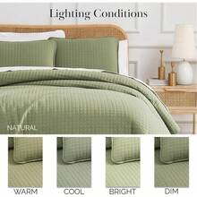 Full/Queen Quilt Bedding Set, Microfiber Quilts Queen Size, Coverlet, Stain & Pet Hair Resistant Bedding, Full Size Bedspread With 2 Pillow Shams, Bone, 2025 - 19 - 鼠尾草綠 - 查看 4