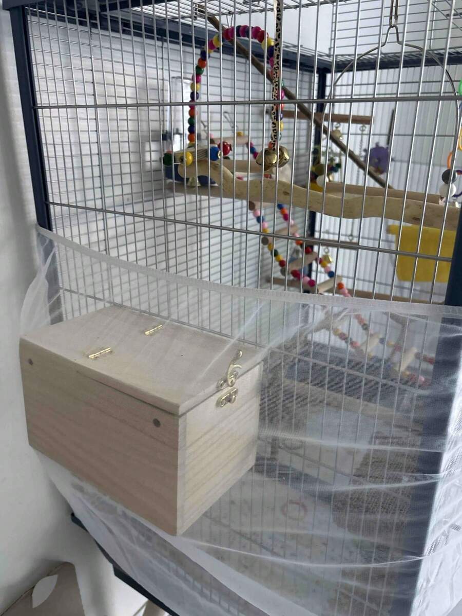 1个木制鹦鹉繁殖箱，孵化巢箱，垂直鸟巢，保温巢箱，鸟类繁殖笼，适用于可可鸟和成对鸟类，鸟舍配件，宠物用品，透明观察窗，适用于各种鸟类和成对鸟类，宠物用品，鹦鹉繁殖笼，户外花园装饰，专为鸟类用品设计。