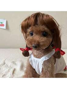 优雅短款假发，带毛 - 多功能宠物假发，适合猫狗，非常适合万圣节、圣诞节和感恩节派对 | 高温纤维，节日派对用品，宠物服装配饰 | 节日宠物假发 | 卷发质感假发，宠物服装假发 - 彩色 - 查看 8