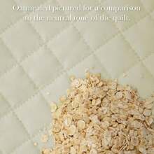 Full/Queen Quilt Bedding Set, Microfiber Quilts Queen Size, Coverlet, Stain & Pet Hair Resistant Bedding, Full Size Bedspread With 2 Pillow Shams, Bone, 2025 - 16 - 奶油 - 查看 6