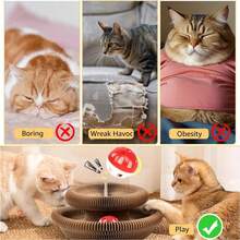 2件装互动猫玩具，带内置魔幻风琴扬声器的猫抓板，有助于缓解猫咪无聊。采用瓦楞纸板制成，可包装和拉伸。 - 彩色 - 查看 5