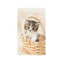 2026年カレンダー 仔猫(卓上) - イニシャル - チェックする 5