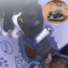 1 Set 2-In-1 Cat Feeding & Drinking Station, Cat Food & Water Bowls - Detachable & Washable Feeding & Drinking Station, Suitable For Kittens, No Electricity Needed, Easy To Clean - Multicolor - View 9