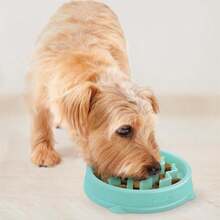 Outward Hound Medium Slow Feeder Bowl, Puzzle Maze For Fast Eaters, Small To Medium Dogs, Helps Prevent Bloat &Amp; Aid Digestion, Holds 2 Cups Wet Or Dry Food, Non-Slip, Made Without BPA, Turquoise - ColorC - 查看 6