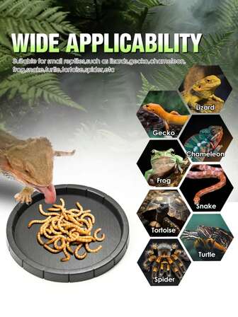 1pc Black Plastic Round Reptile Feeding Dish, Suitable For Lizards, Turtles And Frogs - Durable PP Material, Smooth Surface, Great For Water And Food Bowls, Amphibian Water Bowl | Round Pet Dish | Polypropylene Structure, Reptile Accessory