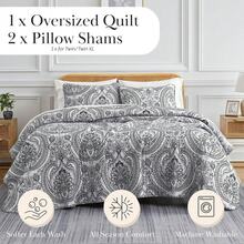 Full/Queen Quilt Bedding Set, Microfiber Quilts Queen Size, Coverlet, Stain & Pet Hair Resistant Bedding, Full Size Bedspread With 2 Pillow Shams, Bone, 2025 - 37 - 純旋律黑 - 查看 2