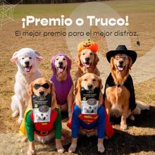 Dog Puzzle & Training Toys - 120克 - 骨頭棒 - 查看 3