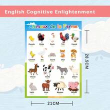 Animal, Food, Fruit, Transportation, Learning Themed Poster, French & English Learning Flashcards