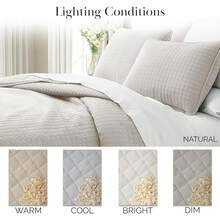 Full/Queen Quilt Bedding Set, Microfiber Quilts Queen Size, Coverlet, Stain & Pet Hair Resistant Bedding, Full Size Bedspread With 2 Pillow Shams, Bone, 2025 - 02 - 骨頭 - 查看 4