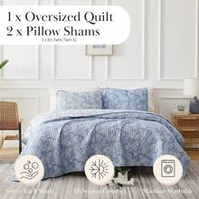 Full/Queen Quilt Bedding Set, Microfiber Quilts Queen Size, Coverlet, Stain & Pet Hair Resistant Bedding, Full Size Bedspread With 2 Pillow Shams, Bone, 2025 - 40 - 完美佩斯利藍 - 查看 2