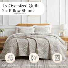 Full/Queen Quilt Bedding Set, Microfiber Quilts Queen Size, Coverlet, Stain & Pet Hair Resistant Bedding, Full Size Bedspread With 2 Pillow Shams, Bone, 2025 - 31 - 阿散蒂骨 - 查看 2