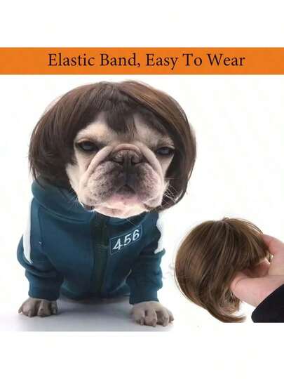 Elegant kort peruk, med hår - mångsidig husdjursperuk, lämplig för hundar och katter, perfekt för Halloween-, jul- och Thanksgiving-fester | Högtemperaturfiber, festtillbehör, tillbehör till husdjurskostymer | Husdjursperuk med högtid | Peruk med lockig textur, husdjurskostymperuk