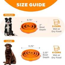 Outward Hound Medium Slow Feeder Bowl, Puzzle Maze For Fast Eaters, Small To Medium Dogs, Helps Prevent Bloat &Amp; Aid Digestion, Holds 2 Cups Wet Or Dry Food, Non-Slip, Made Without BPA, Turquoise - ColorD - 查看 5