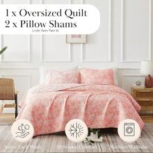 Full/Queen Quilt Bedding Set, Microfiber Quilts Queen Size, Coverlet, Stain & Pet Hair Resistant Bedding, Full Size Bedspread With 2 Pillow Shams, Bone, 2025 - 41 - 完美佩斯利珊瑚霧 - 查看 2