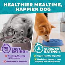 Outward Hound Medium Slow Feeder Bowl, Puzzle Maze For Fast Eaters, Small To Medium Dogs, Helps Prevent Bloat &Amp; Aid Digestion, Holds 2 Cups Wet Or Dry Food, Non-Slip, Made Without BPA, Turquoise - ColorA - 查看 7