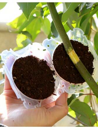 [Högtrycksförökningslåda] 20 st. transparent synlig ympningsanordning, växtrotboll, återanvändbar och skadafri högtrycksförökningsboll, luftlagerlåda för snabb växtförökning, rotympningsanordningsset. 10 st. högtrycksförökningslåda för växter, sticklingympningsrotningslåda, träd på hög höjd med tryckgrenrotningsförökningsboll.