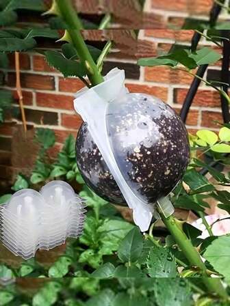 High-Pressure Propagation Box] 20pcs Transparent Visible Grafting Device, Plant Rooting Ball, Reusable And No-Damage High-Pressure Breeding Ball, Air-Layering Box For Quick Plant Breeding, Root Grafting Device Set.10pcs Plant High-Pressure Propagation Box, Cutting Grafting Rooting Box, Tree High-Altitude Pressure Branch Rooting Propagation Ball Propagator.