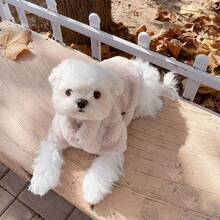 Warm Thermal-Lined Faux Fur Jacket, Teddy Bear Style Winter Coat For Small/Medium Dogs, Soft & Cute Pet Outerwear