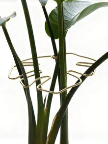 4pcs/1set Plant Support Set, Sturdy Climbing Plant Stem Clips, Vine Stabilizers, Indoor Plant Stem Stabilizers, Metal Gardening Tools, Suitable For Climbing Plants,Camping/Wedding/Garden Decoration/Bedroom Decor/Room Decor/Home Decor/Autumn Decor/Valentine's Day/Valentine Day/Valentines/Easter - Upgraded Version - View 16