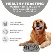Outward Hound Fun Feeder Slo Bowl Slow Feeder Dog Bowl No Bloat No Choke Large Turquoise - As Pic - View 2