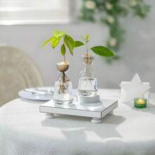 A Transparent Avocado Glass Hydroponic Vase - A Modern Cylindrical Home Decor Design That Requires No Batteries, Allowing Clear Observation Of Root Growth.