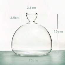 A Transparent Avocado Glass Hydroponic Vase - A Modern Cylindrical Home Decor Design That Requires No Batteries, Allowing Clear Observation Of Root Growth.