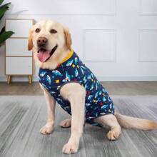 Dog Surgery Recovery Suit Dog Dog Bodysuit Surgical Suit Female Spay Post Healing Neuter After Surgery Suits - 大號(1 件裝)+ 鯊魚 - 查看 7