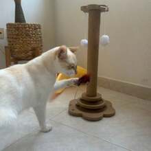 1件套猫抓板和攀爬塔组合，耐用剑麻垂直幼猫玩具，带悬挂羽毛棒和旋转圆盘