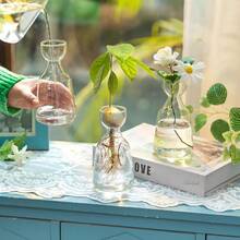 A Transparent Avocado Glass Hydroponic Vase - A Modern Cylindrical Home Decor Design That Requires No Batteries, Allowing Clear Observation Of Root Growth.