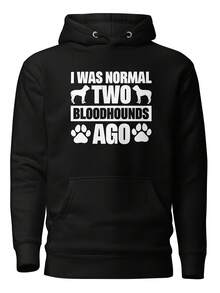 Bloodhound Sweatshirt, Bloodhound Gift, Bloodhound Owner Sweatshirt, Dog Lover Gift, Dog Lover Sweatshirt, Dog Hoodie, Dog Owner Gift, H1367,Autumn/Winter Hoodie Autumn Set - 款式17 - 查看 1