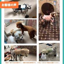 Dog Backpack - M - View 7