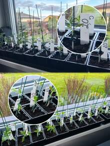 50/100/200pcs Horticulture Plant Labels 4 Inch PP Material, Waterproof One-Line Embedded Labels Reusable Acts As A Plant Growth Record - White - View 6