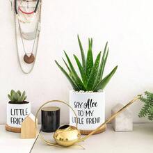 Say Aloe To My Little Friend Planter Plant Lover Set Of 2 Spring Funny Pun Flower Pot With Bamboo Tray Ceramic Indoor Succulent Hole Spring Birthday Housewarming Gifts No Plants