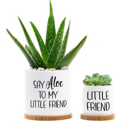 Say Aloe To My Little Friend Planter Plant Lover Set Of 2 Spring Funny Pun Flower Pot With Bamboo Tray Ceramic Indoor Succulent Hole Spring Birthday Housewarming Gifts No Plants