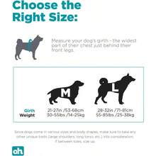 Outward Hound Daypak Dog Backpacks Blue L Pack Of 1 US - LPackof1 - View 6