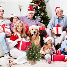 Christmas Tree,20 Inch/50CM Mini Christmas Trees,Christmas Trees With Lights And 2M LED Lights,Cement Base Tabletop Christmas Tree,75 Branch Tips,For Home Office Christmas Decorations - 1 - View 10