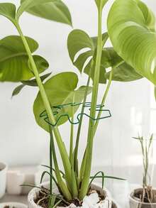 4pcs/1set Plant Support Set, Sturdy Climbing Plant Stem Clips, Vine Stabilizers, Indoor Plant Stem Stabilizers, Metal Gardening Tools, Suitable For Climbing Plants,Camping/Wedding/Garden Decoration/Bedroom Decor/Room Decor/Home Decor/Autumn Decor/Valentine's Day/Valentine Day/Valentines/Easter - Upgraded Version - View 15