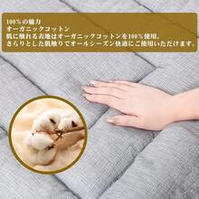 Outdoor Pillows & Cushions