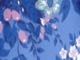 地平線藍花卉