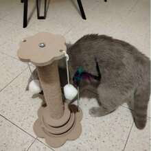 1件套猫抓板和攀爬塔组合，耐用剑麻垂直幼猫玩具，带悬挂羽毛棒和旋转圆盘