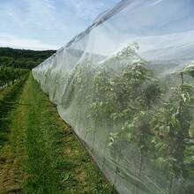 Protect Your Garden From Insects And Pests With Garden Insect And Vegetable Protection Nets! - Multicolor - View 4