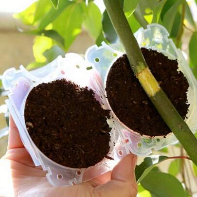 高压繁殖盒] 20个透明可视嫁接装置，植物生根球，可重复使用且无损伤的高压繁殖球，高压繁殖盒，用于快速植物繁殖的根嫁接装置套装。10个植物高压繁殖盒，扦插嫁接生根盒，树木高空压力枝条生根繁殖球繁殖器。