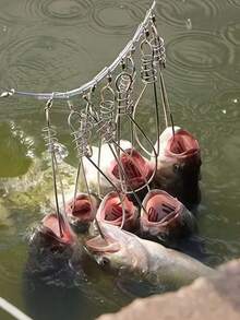 这款不锈钢鱼钩是钓鱼爱好者的实用工具。它采用加厚不锈钢制成，防锈耐用。配备醒目的浮标和加厚的接地塞。 - 彩色 - 查看 4