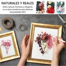 Artificial Prensado Flores Secas Resina,3 Bolsas de Flores Secas para Resina Epoxi Manualidades, Perfecto para Resina,ón, Manualidades, decoración Floral, álbumes de Recortes - B - Ver 12
