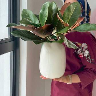 2pcs Artificial Magnolia Leaf Wedding Decor, Fall Indoor Home Decor, Decor Fake Leaves, Faux Magnolia Leaves For Year Round And Holiday Greenery Decor, Autumn Thanksgiving Fall Decor, Home Harvest Decoration, Festival Decoration