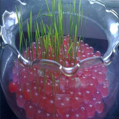 1000 pezzi perle riempitivo per vasi, per decorazioni di vasi, centrotavola galleggianti per candele, centrotavola da matrimonio, decorazioni floreali, coltivazione senza terra. Solo per uso degli adulti (colori assortiti)