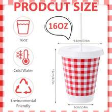 D24 Pcs Gingham Red And White Party Plies Disposable Plastic Cups 16 Oz Picnic Checkered Tumblers For Summer BBQ Pizza Cookout Family Dinner Birthday Party Decoration - đỏ trắng - Xem 3