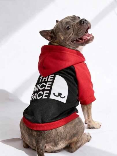 LUCKIE LABO 1 件拼色“NICE FACE”标语和宠物图案印花涤纶连帽衫，防跳蚤，减少脱落，保暖透气，适合室内/室外猫狗